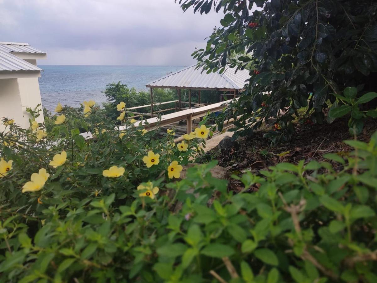 Maracaibo View Hotel Bahia Maracaibo Luaran gambar